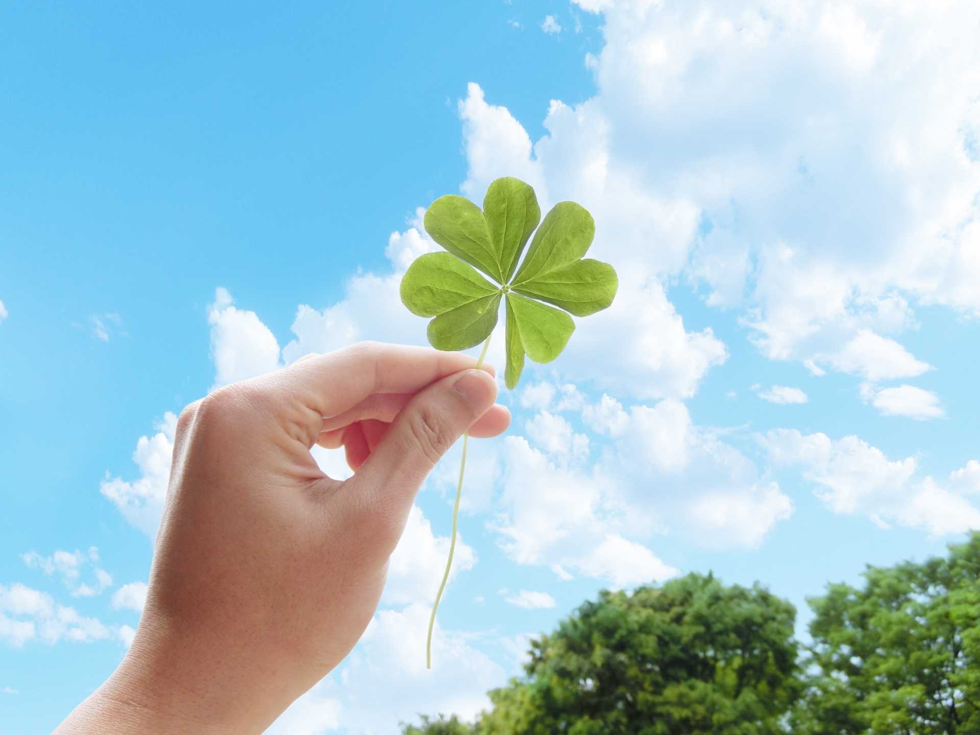 50代ミセス専門メンズエステ「日曜日のマダム」札幌すすきの店2nd